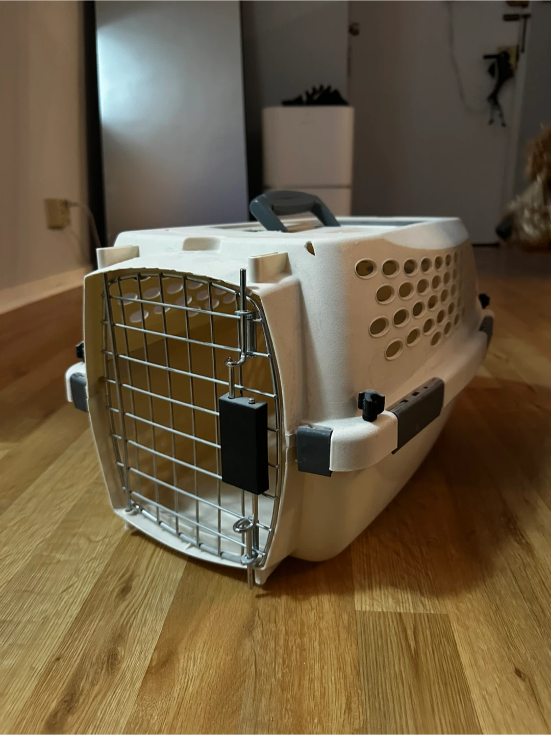 19" Pet Carrier for up to 10 lbs