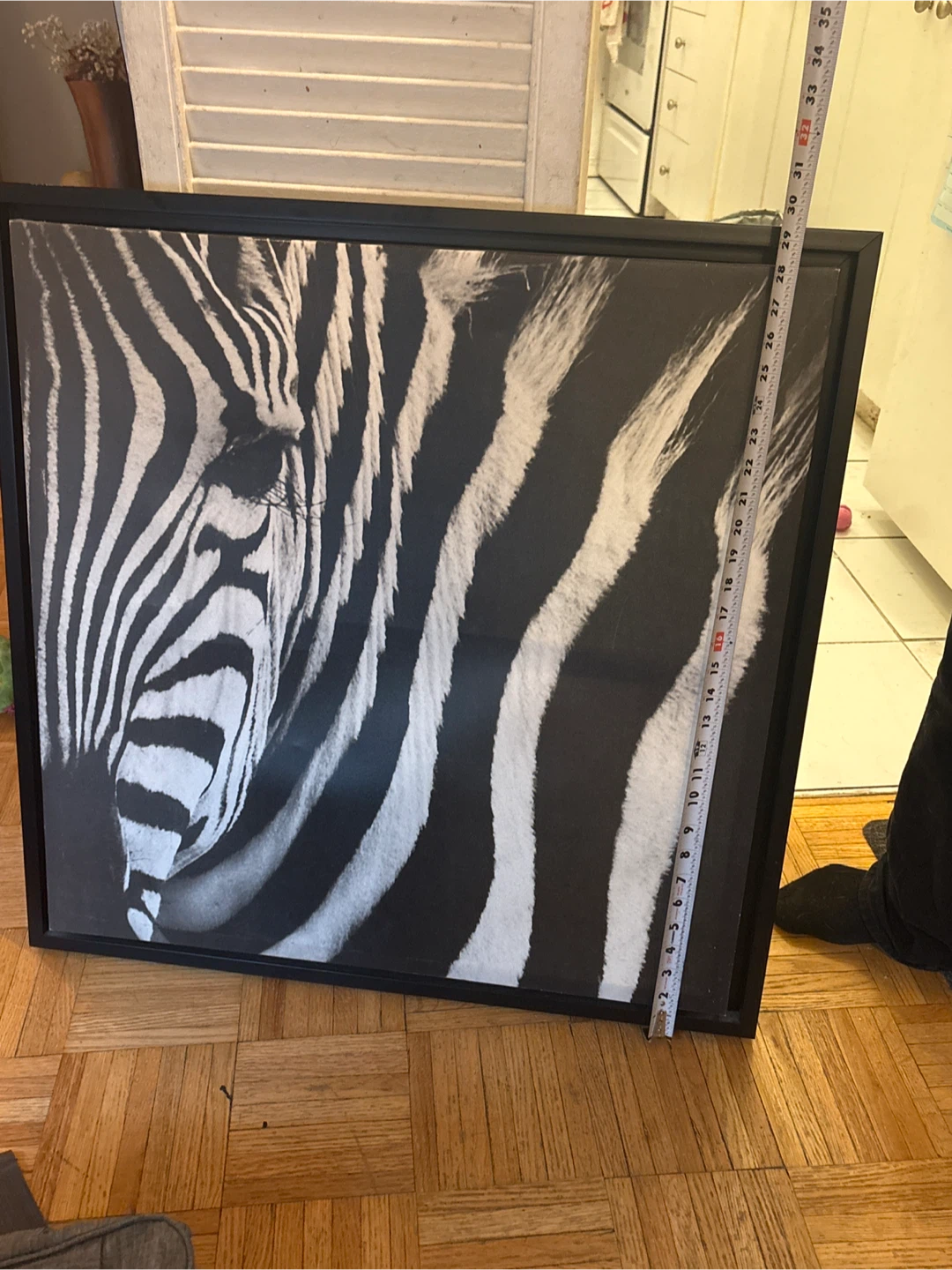 Framed Zebra Print Wall Art