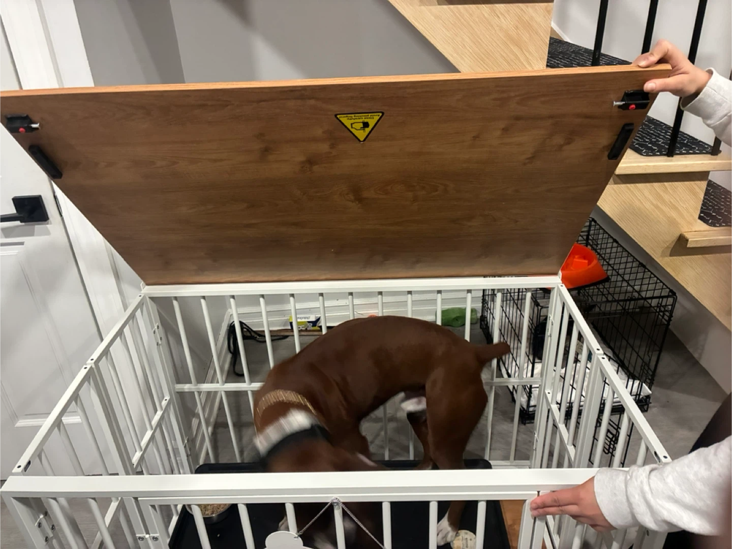 Wooden Top Dog Crate