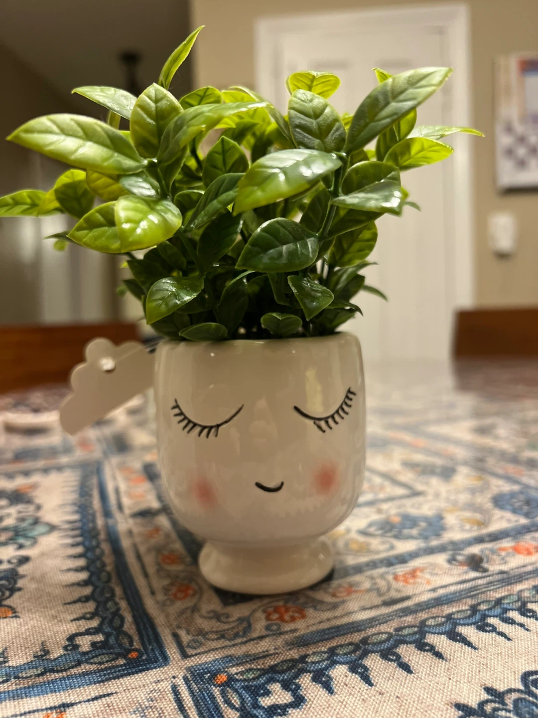 Artificial Plant in Cute Face Planter 🥕