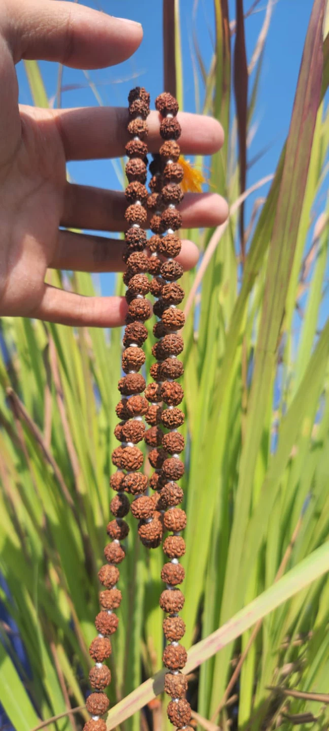 Rudraksha Mala Beads