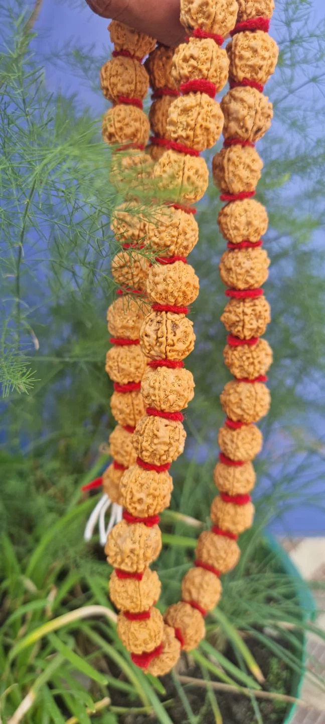 Rudraksha Mala Prayer Beads - photo 2