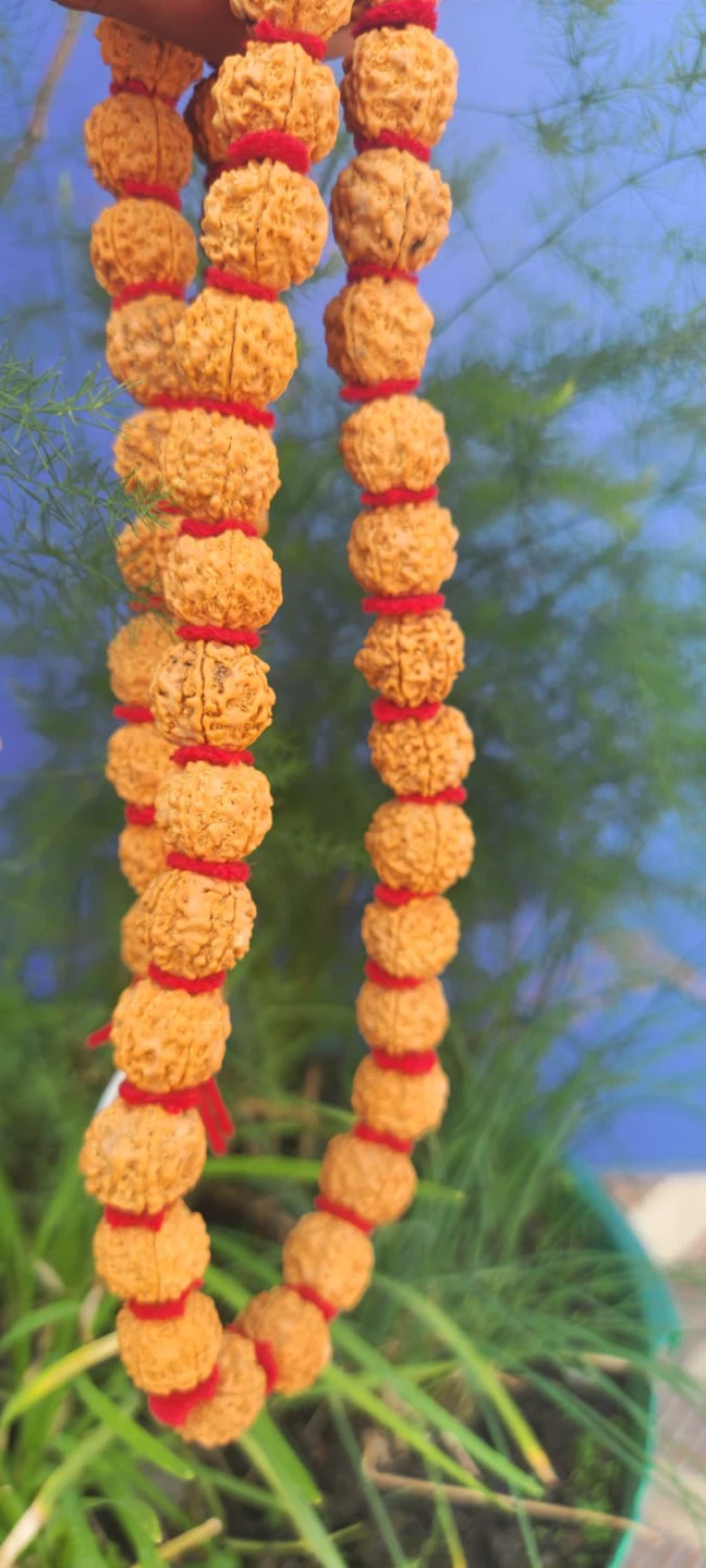 Rudraksha Mala Prayer Beads