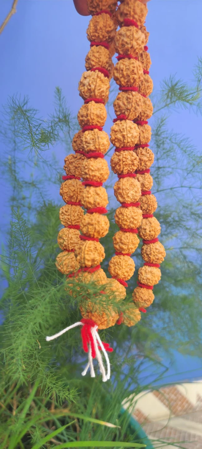Rudraksha Mala Prayer Beads - photo 3