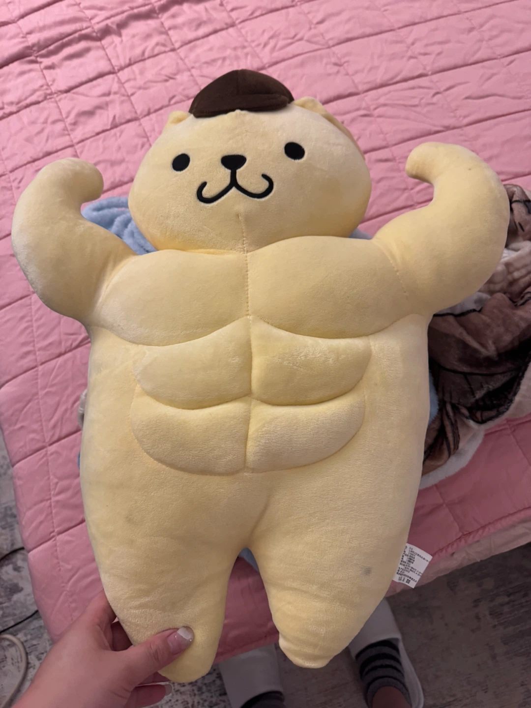 Sanrio Pompompurin Muscle Plush