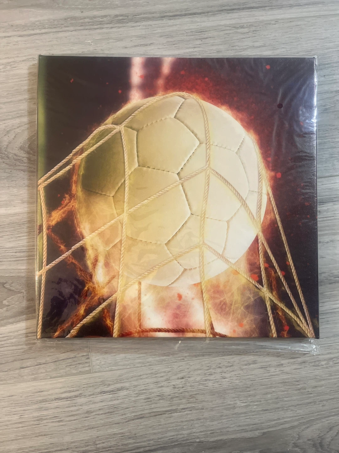 Canvas Print - Soccer Ball in Net