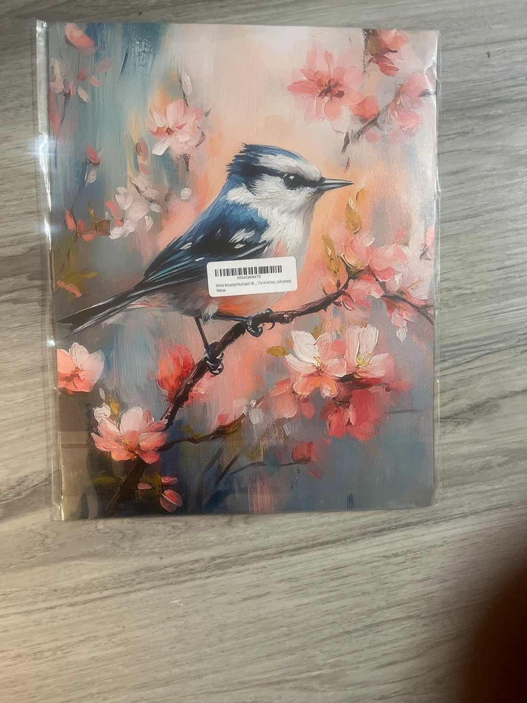White Breasted Nuthatch Wall Art - 11x14 Inches