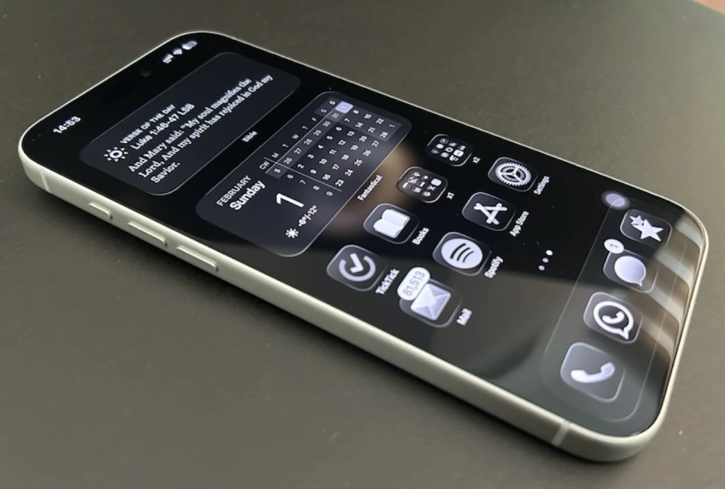 iPhone 17 pro max silver 256gb + CAUDABE case