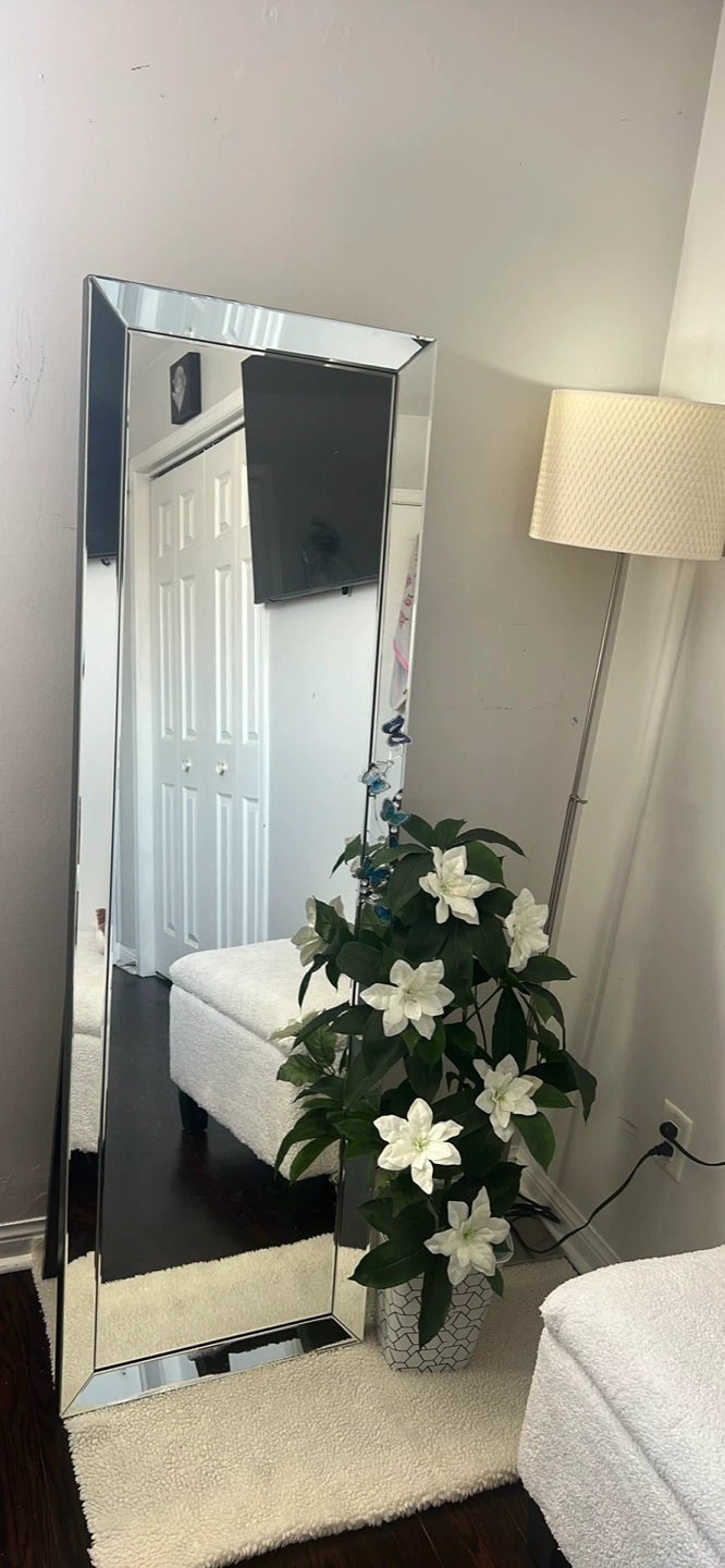 Ikea Full Length Standing Mirror with Mirrored Frame