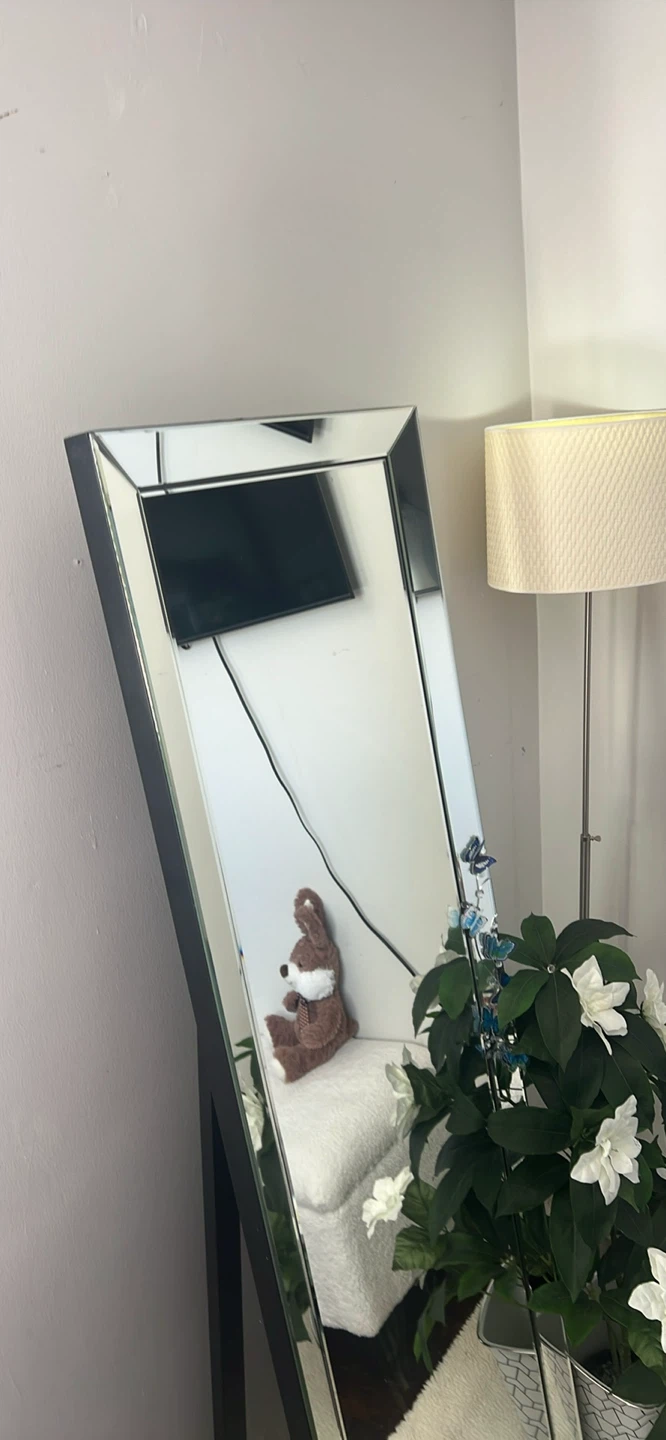 Ikea Full Length Standing Mirror with Mirrored Frame - photo 2