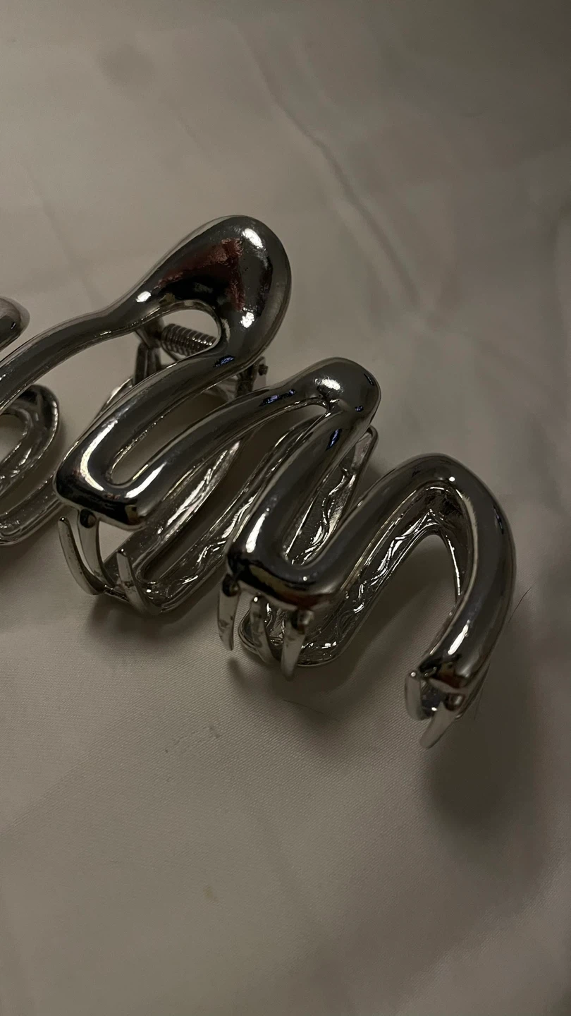 Chrome Claw Clip #freecycle - photo 2