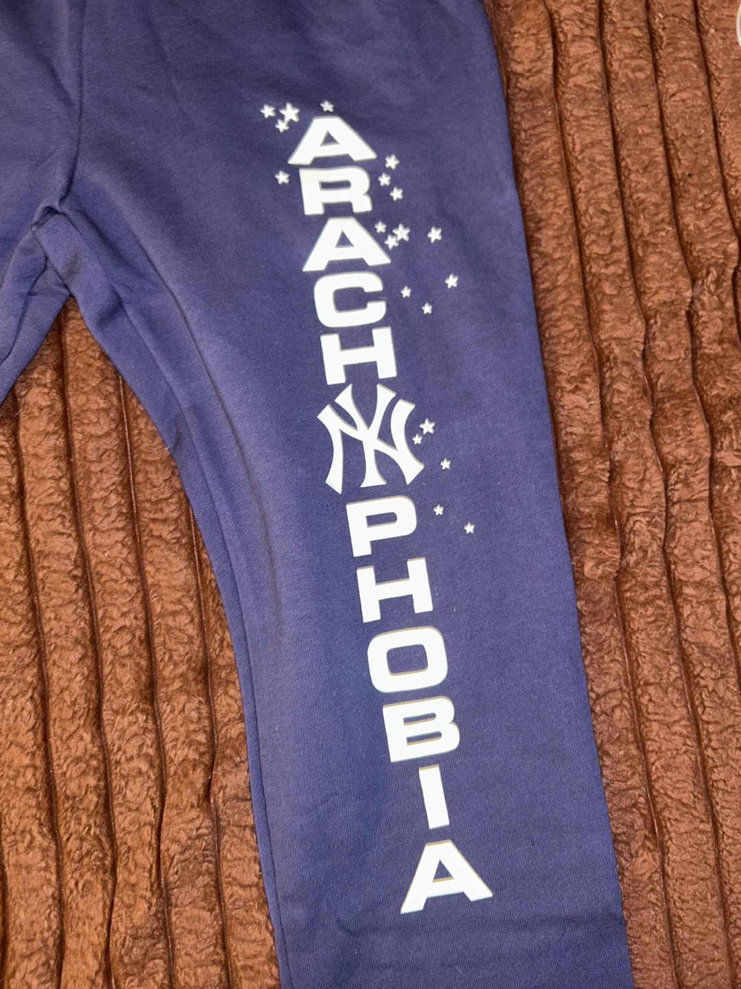 Arachnophobia Sweatpants