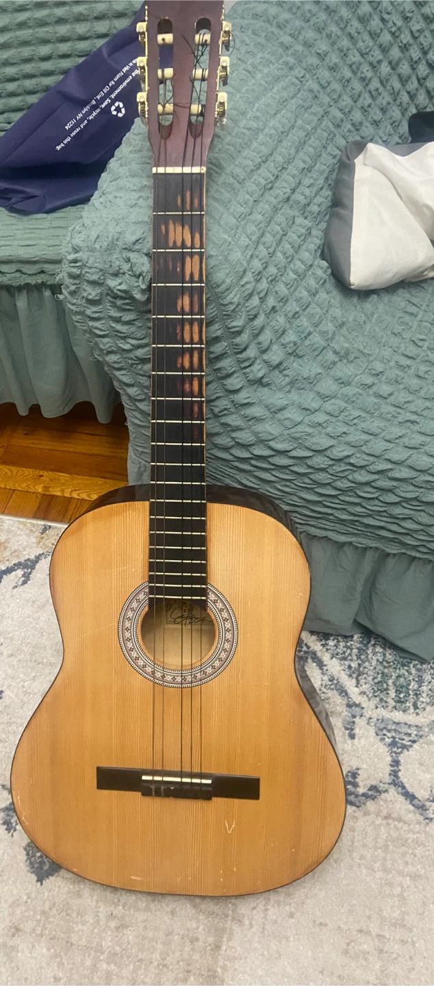 Classical Acoustic Guitar