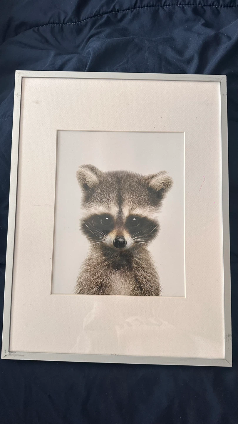 Set of 4 Framed Animal Prints - photo 2