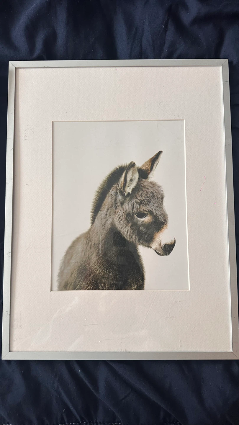 Set of 4 Framed Animal Prints - photo 4