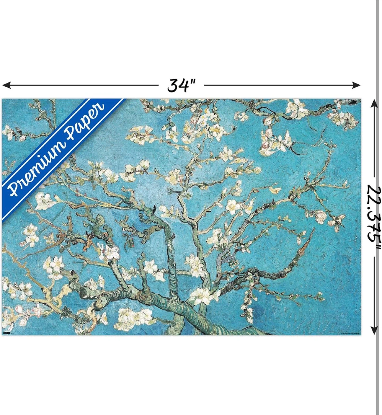 Vincent Van Gogh Almond Blossom Poster 34" x 22.375" - photo 2