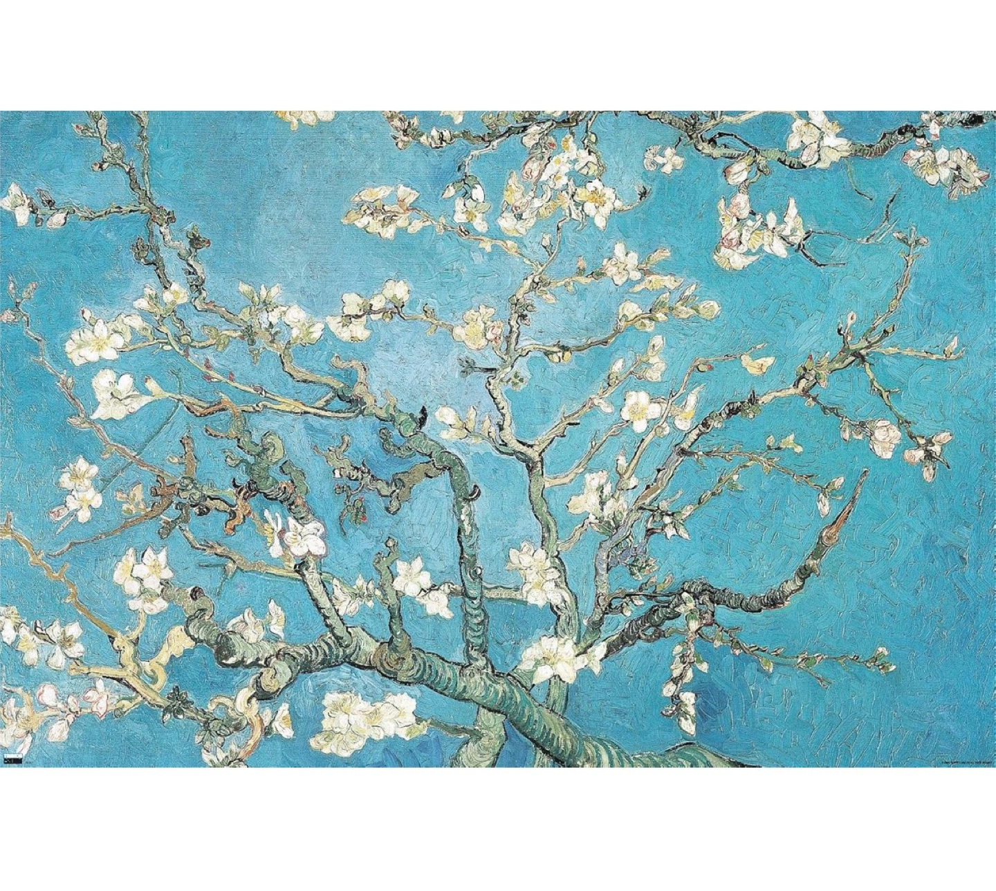 Vincent Van Gogh Almond Blossom Poster 34" x 22.375"