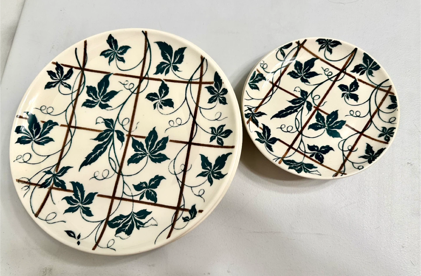🇨🇦Canadian Vintage Rideau “Climbing Vine” Plates - photo 3
