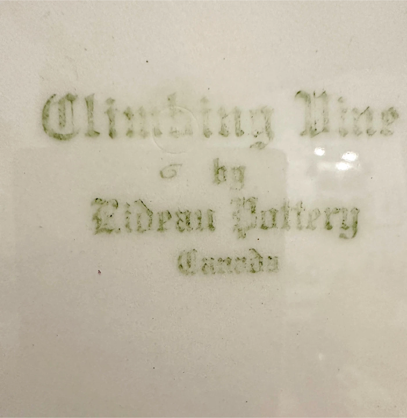 🇨🇦Canadian Vintage Rideau “Climbing Vine” Plates - photo 4