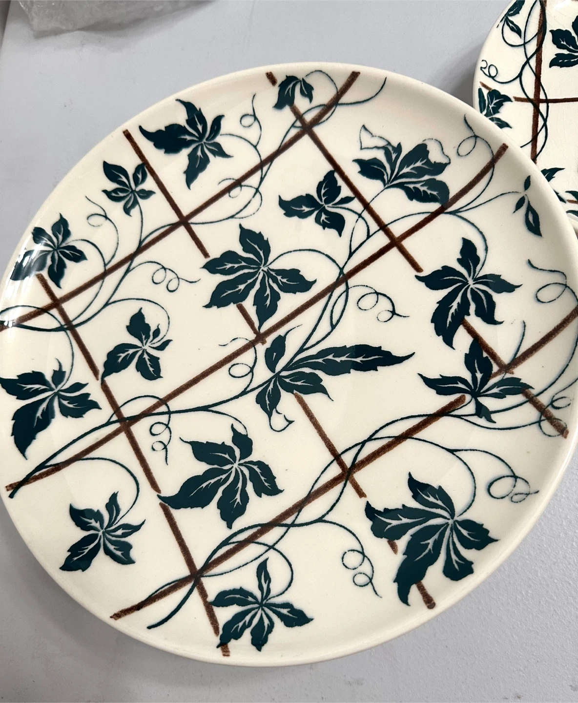 🇨🇦Canadian Vintage Rideau “Climbing Vine” Plates