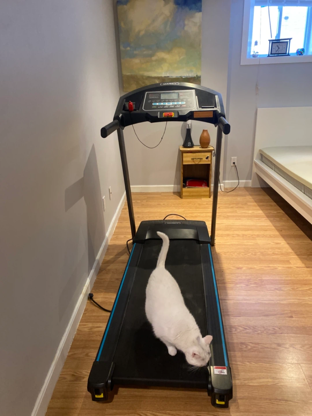 Marcy Treadmill.   Sold PPU