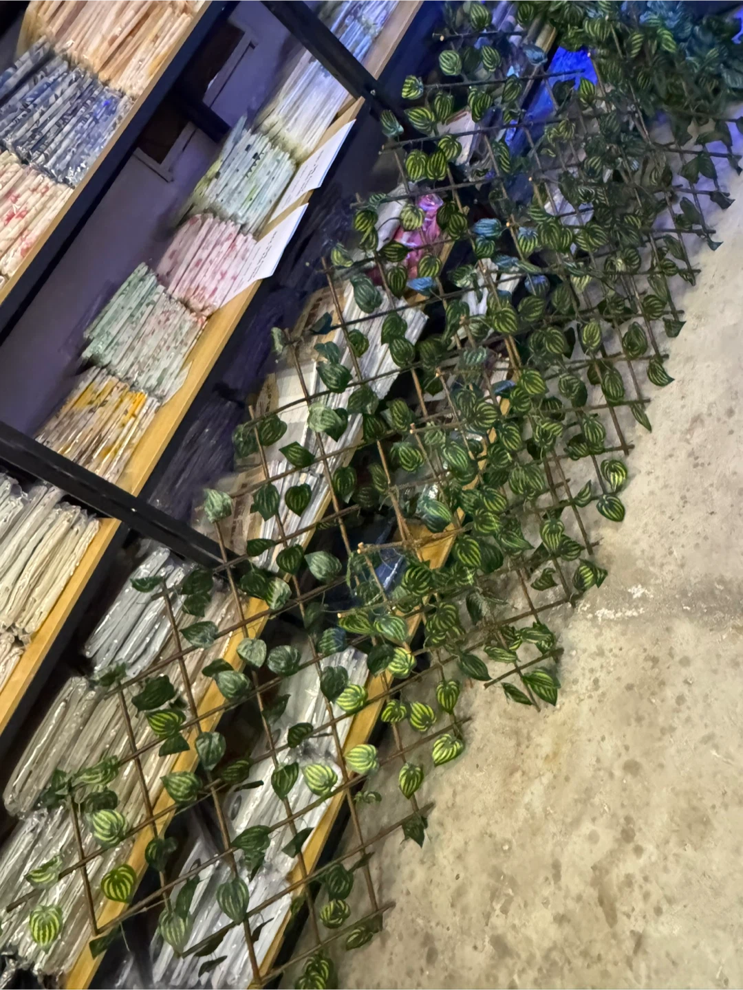 Artificial Vine Expandable Trellis