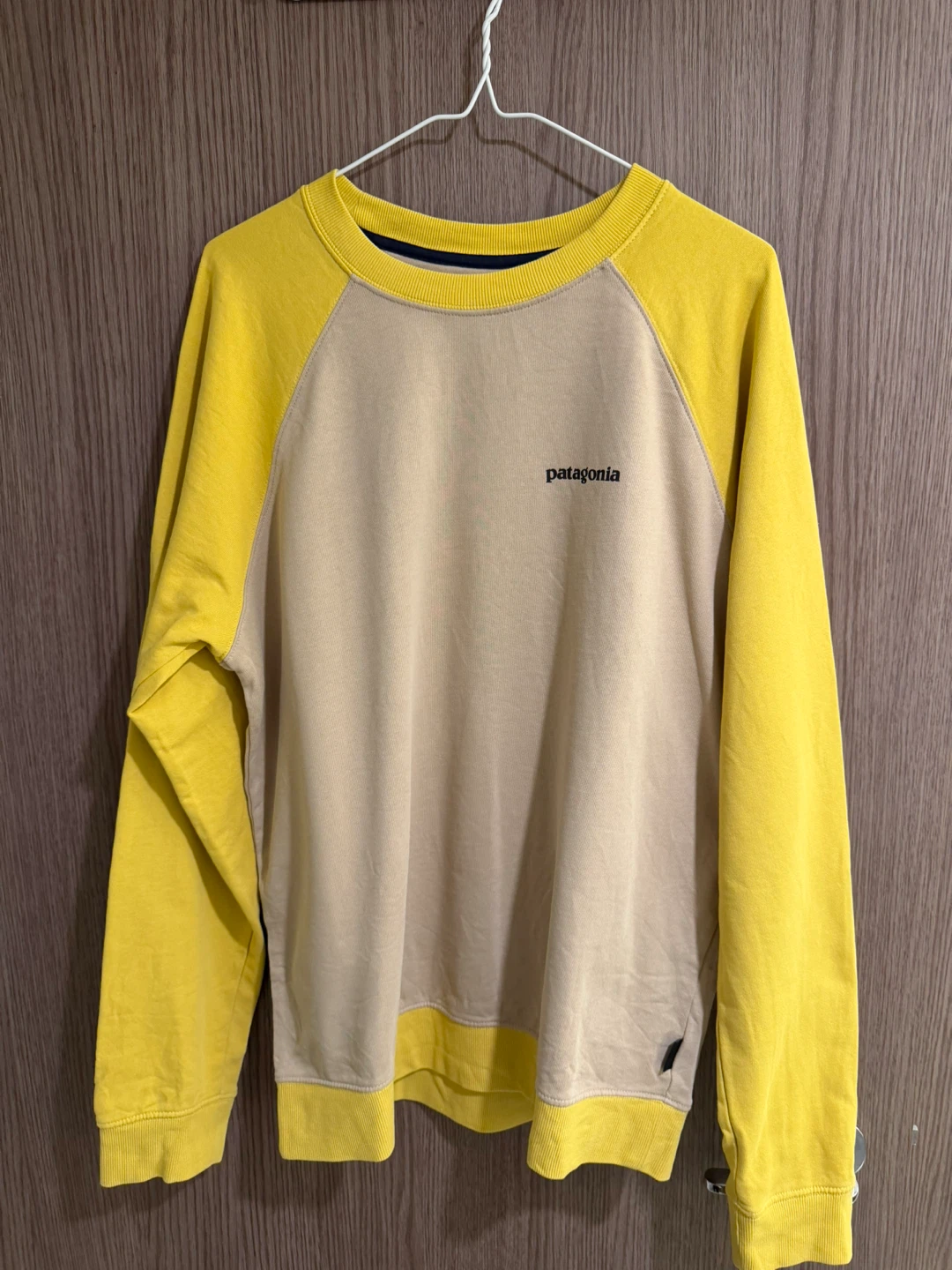 Patagonia Organic Cotton Sweatshirt