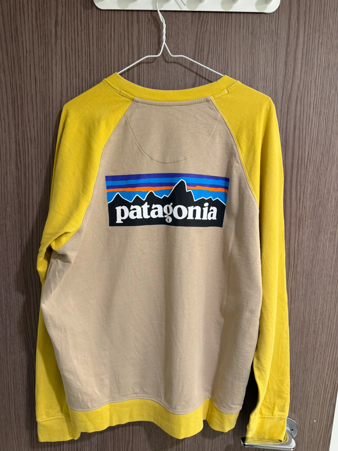 Patagonia Organic Cotton Sweatshirt - photo 2