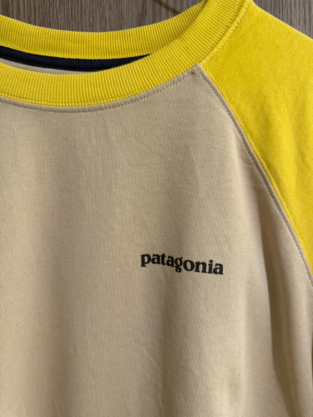 Patagonia Organic Cotton Sweatshirt - photo 3
