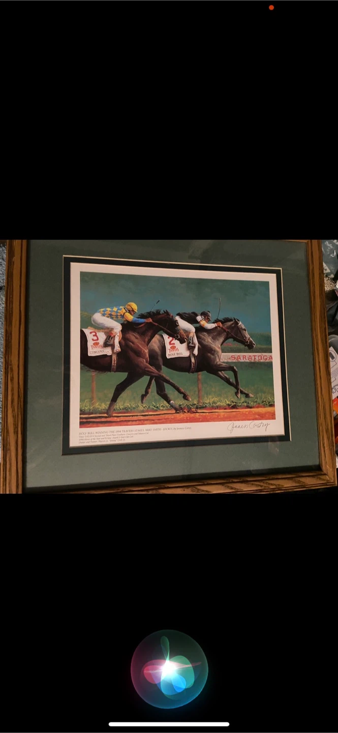 Framed  Racing Print - Holy Bull Winning 1994 Travers Stakes