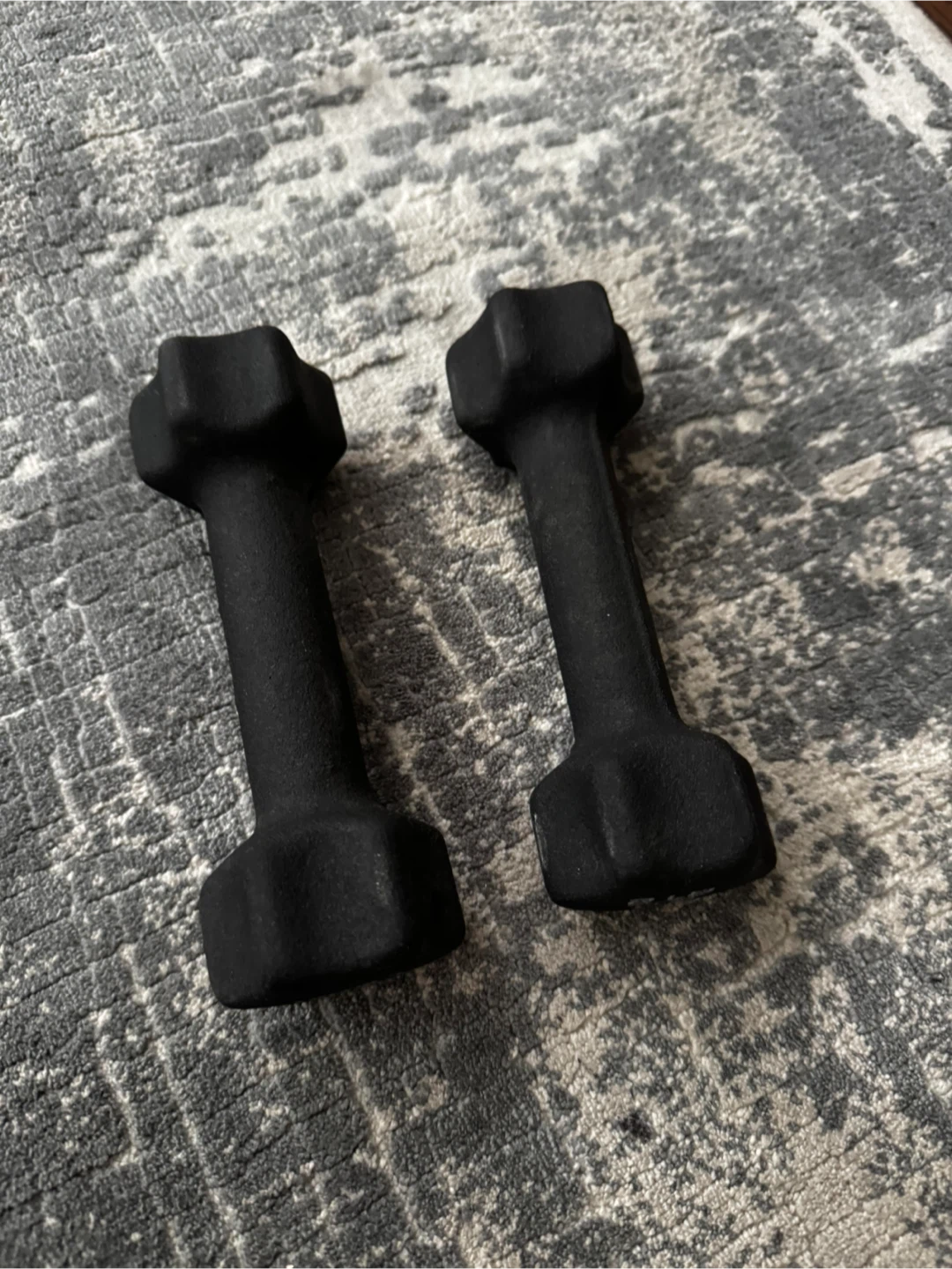 Pair of 2 LB Dumbbells