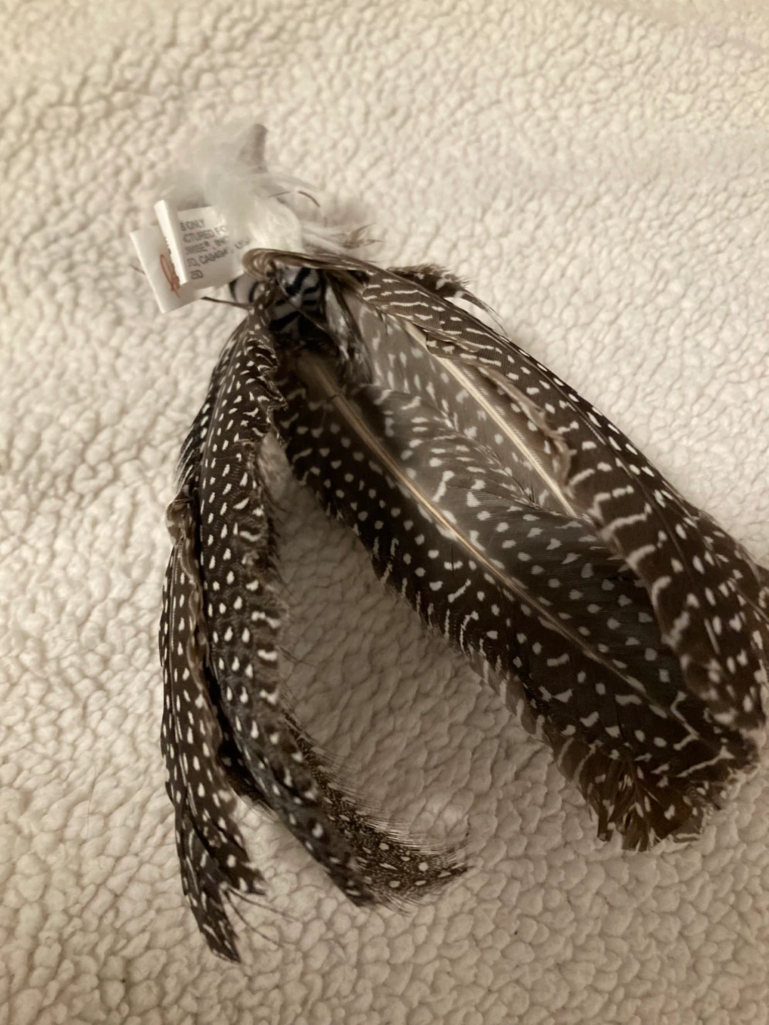 Petlinks Feather Toy - photo 5