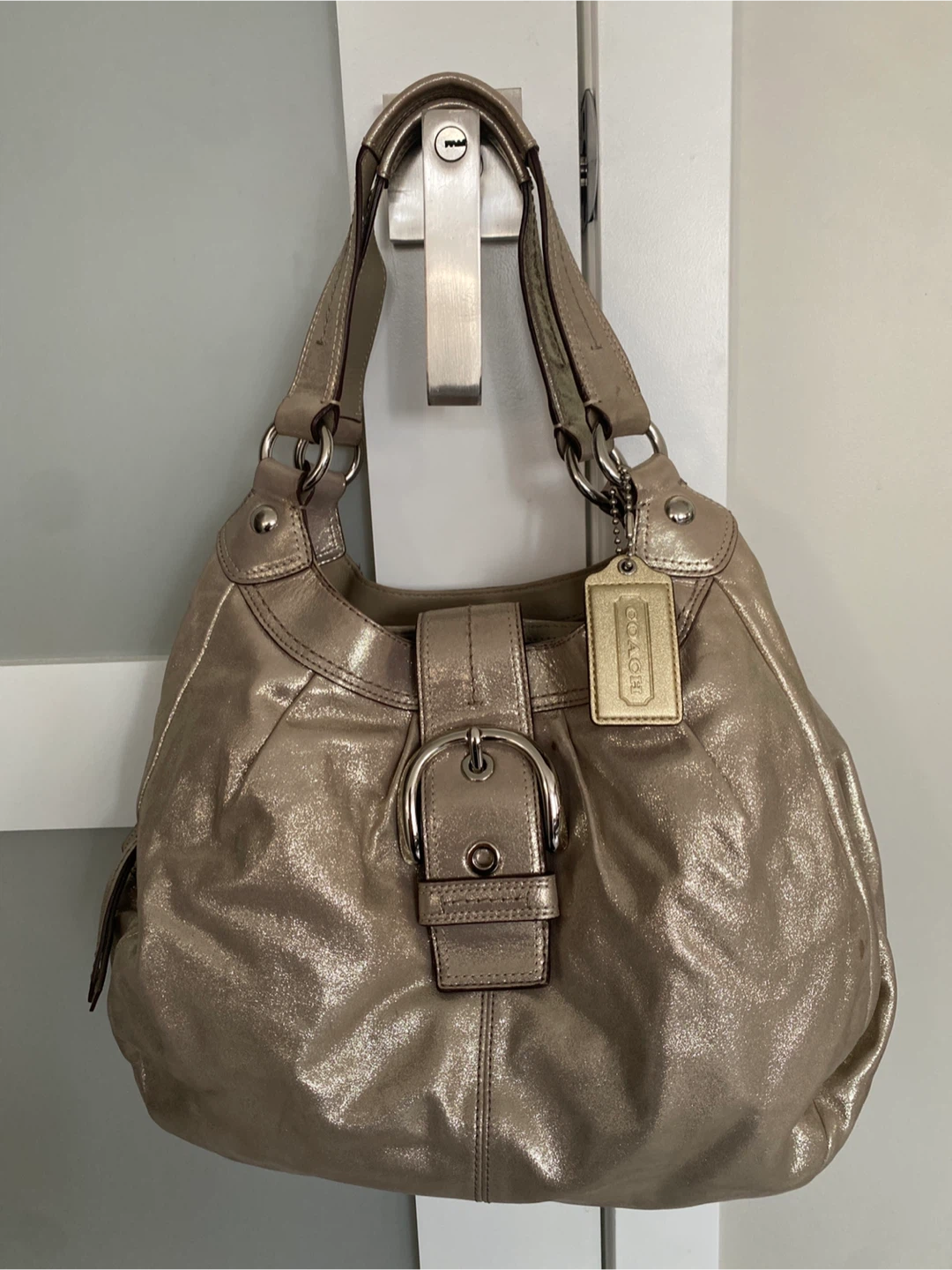 Coach Metallic Leather Hobo Handbag
