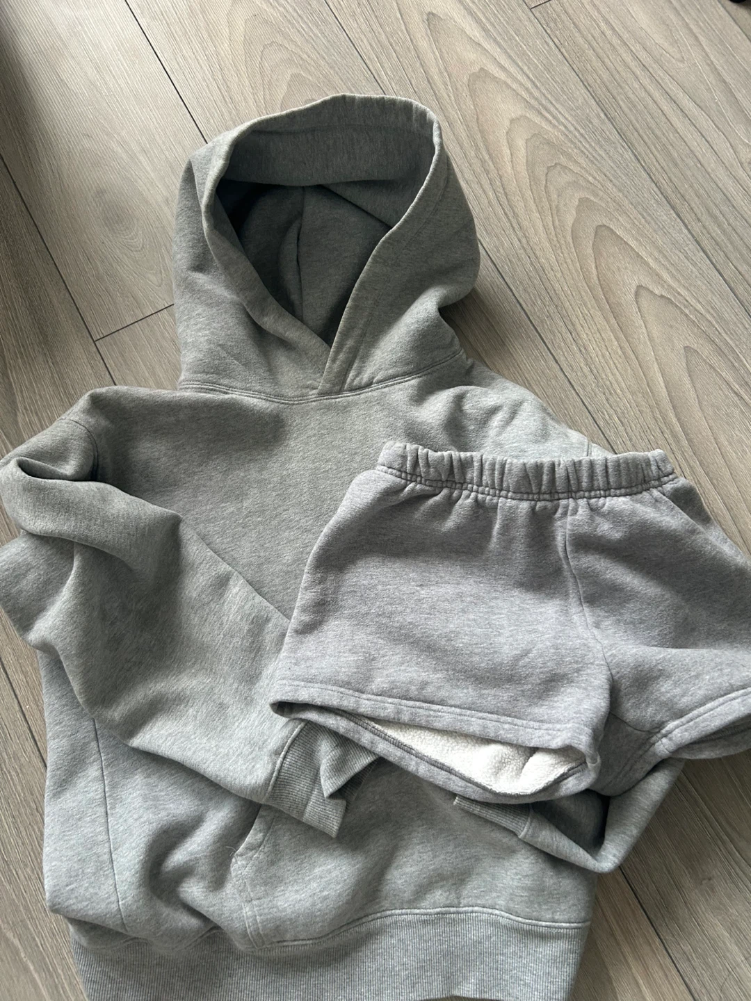 ARITZIA Grey Hoodie and Shorts Set
