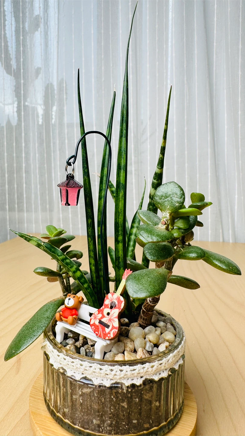 Unique Super low maintenance plants - photo 5