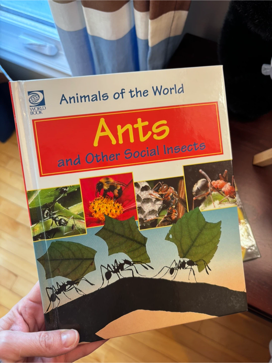 The World Book Animals of the World Book Series - photo 3