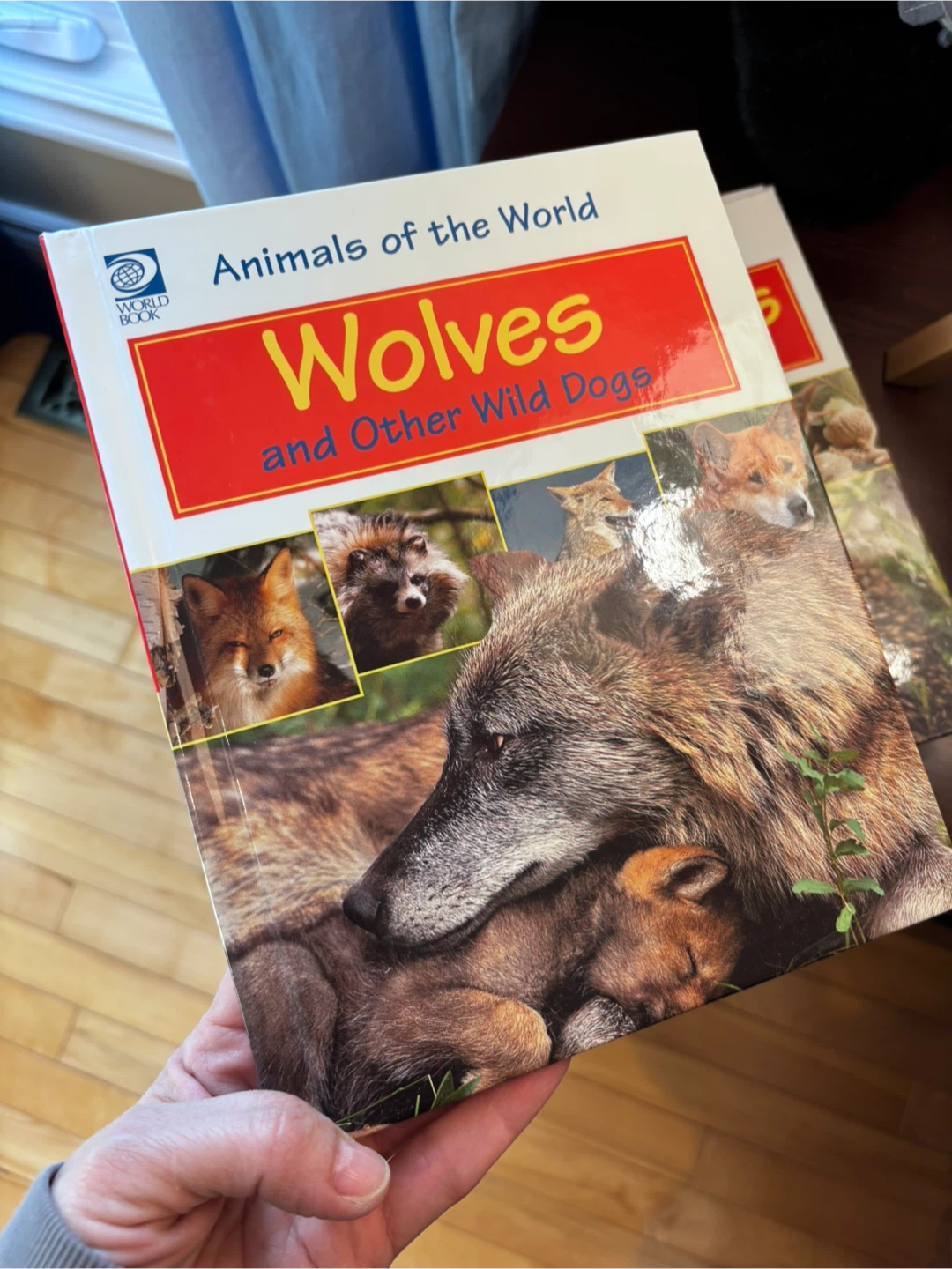 The World Book Animals of the World Book Series - photo 4