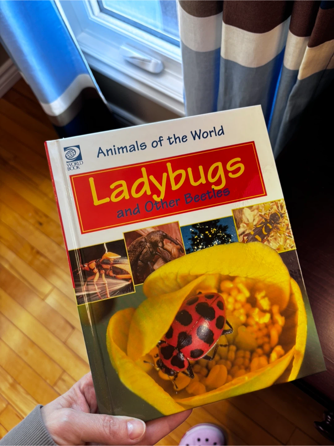 The World Book Animals of the World Book Series - photo 2