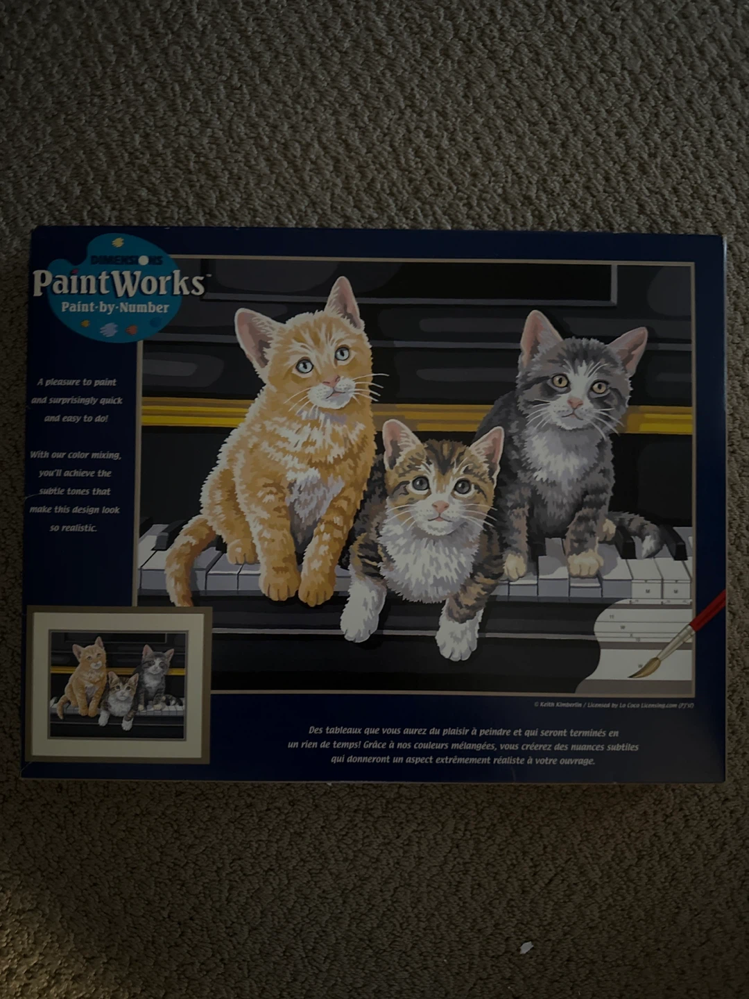 Dimensions PaintWorks Paint-by-Number:  Musical Trio