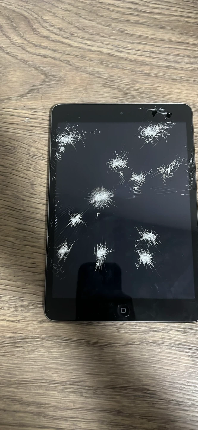 Apple iPad Mini - Cracked Screen - photo 2