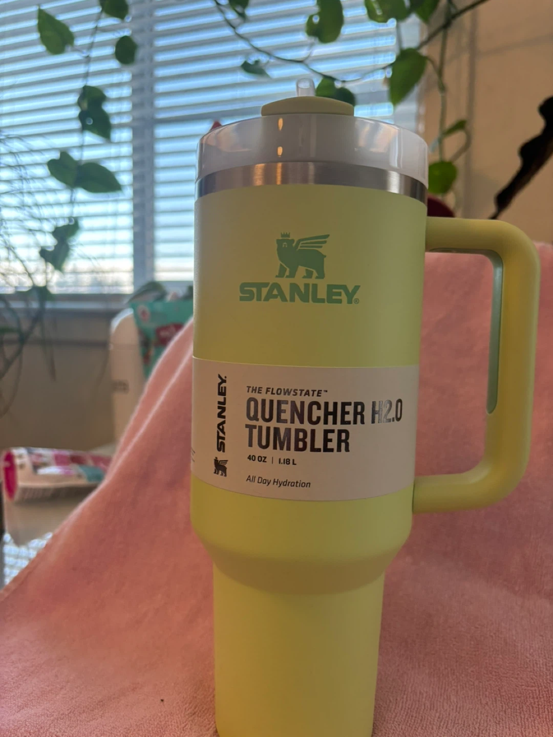 Stanley Flowstate Quencher H2.0 Tumbler 40 oz - Lime Green