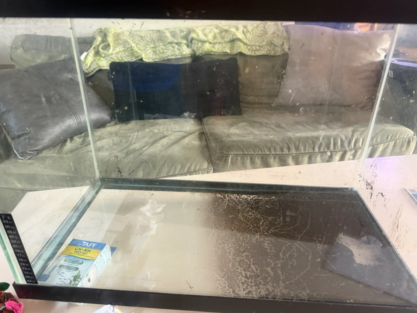 1-20 gallon tank - photo 2