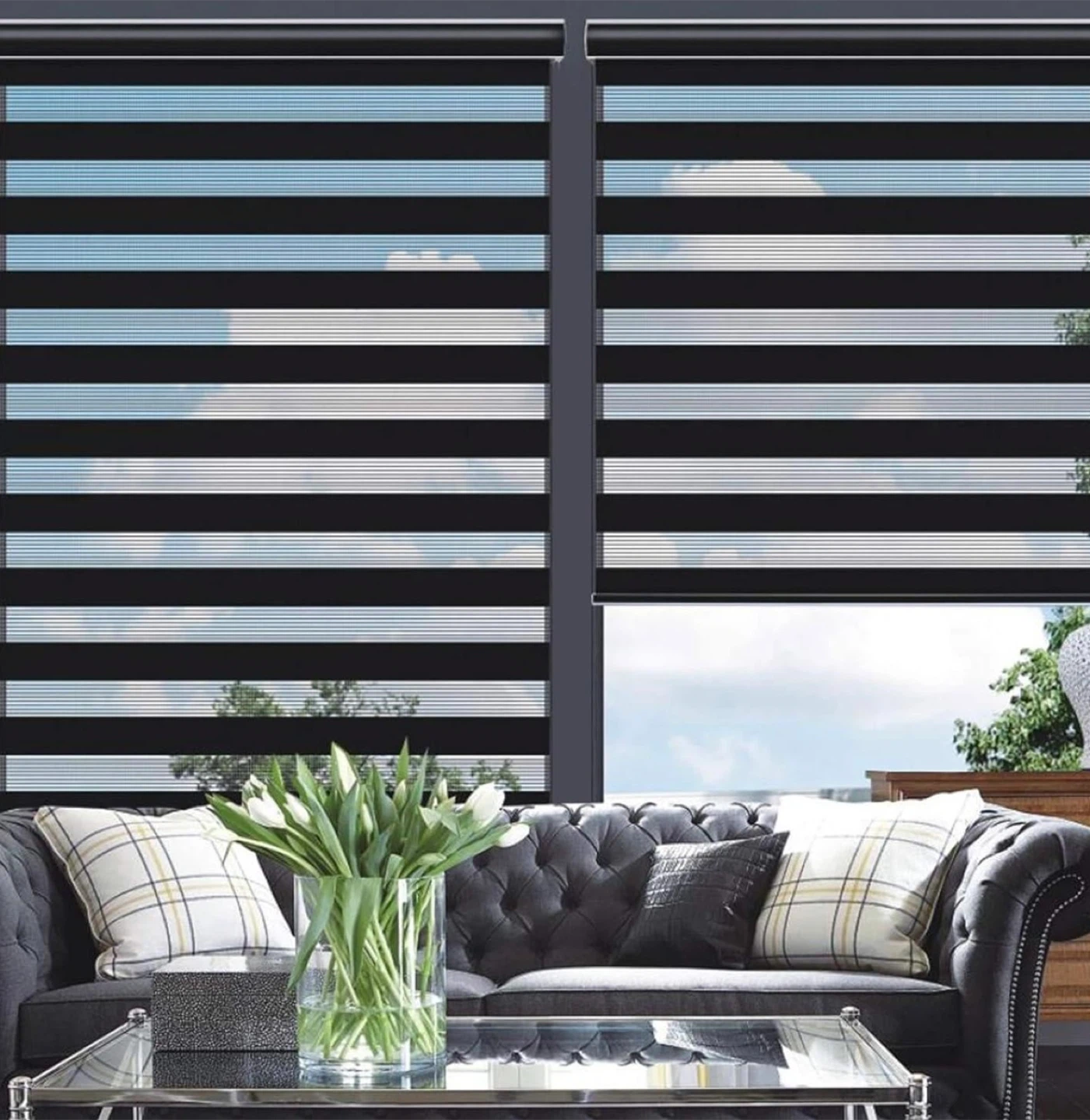 New in Box 2pcs Changshade Cordless Zebra Blinds
