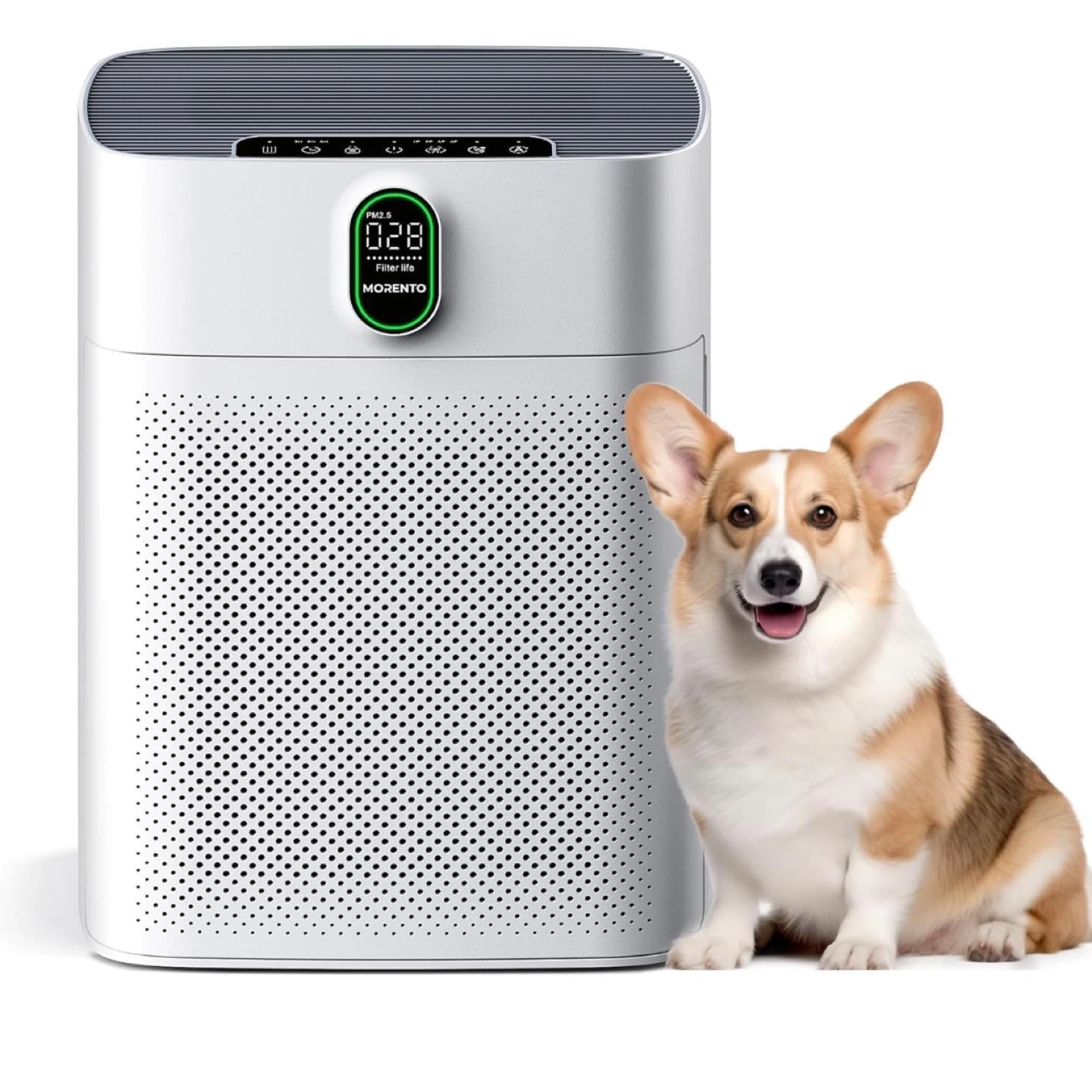 Air Purifier - Used