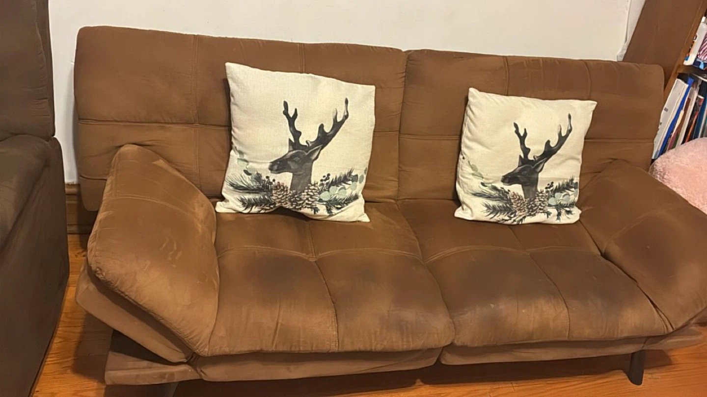 Living room and convertible sofa bed - photo 4