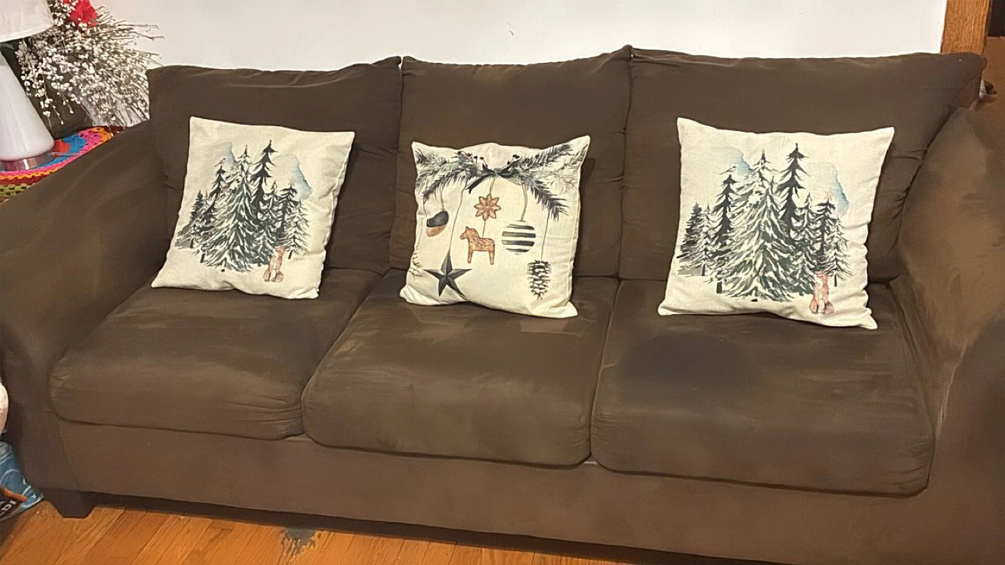 Living room and convertible sofa bed