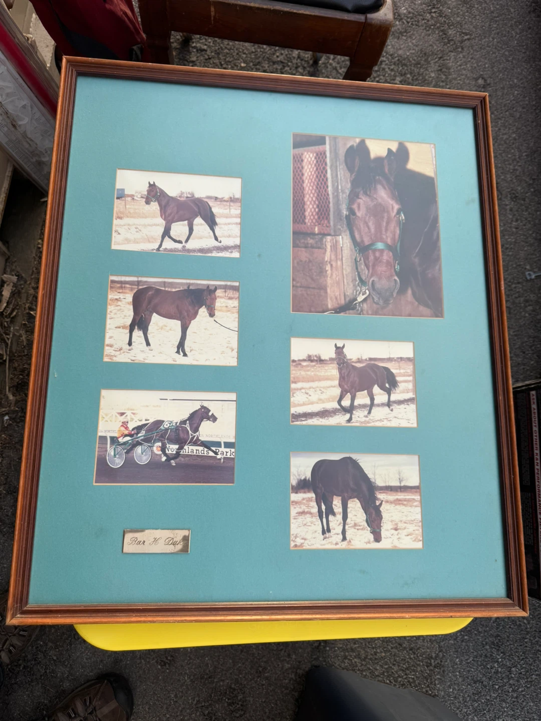 Framed Horse Racing Photos