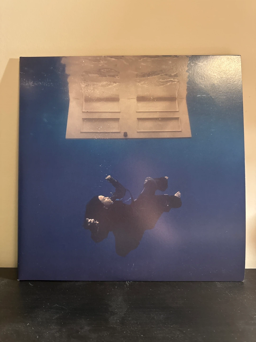 Billie Eilish Vinyl Records (Read Description for prices)