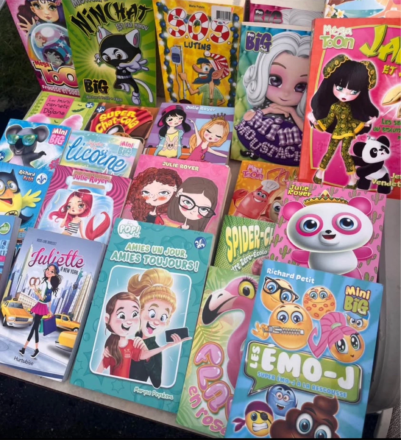 livres pour enfants en français
