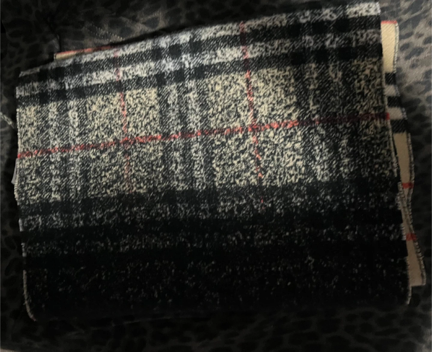 Burberry Plaid Scarf